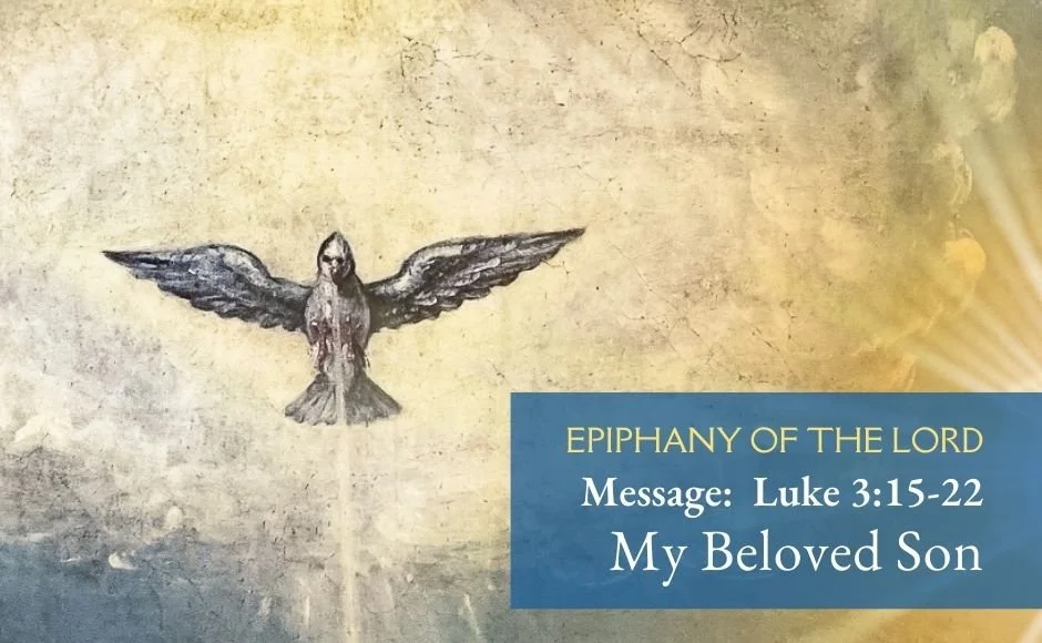  My Beloved Son