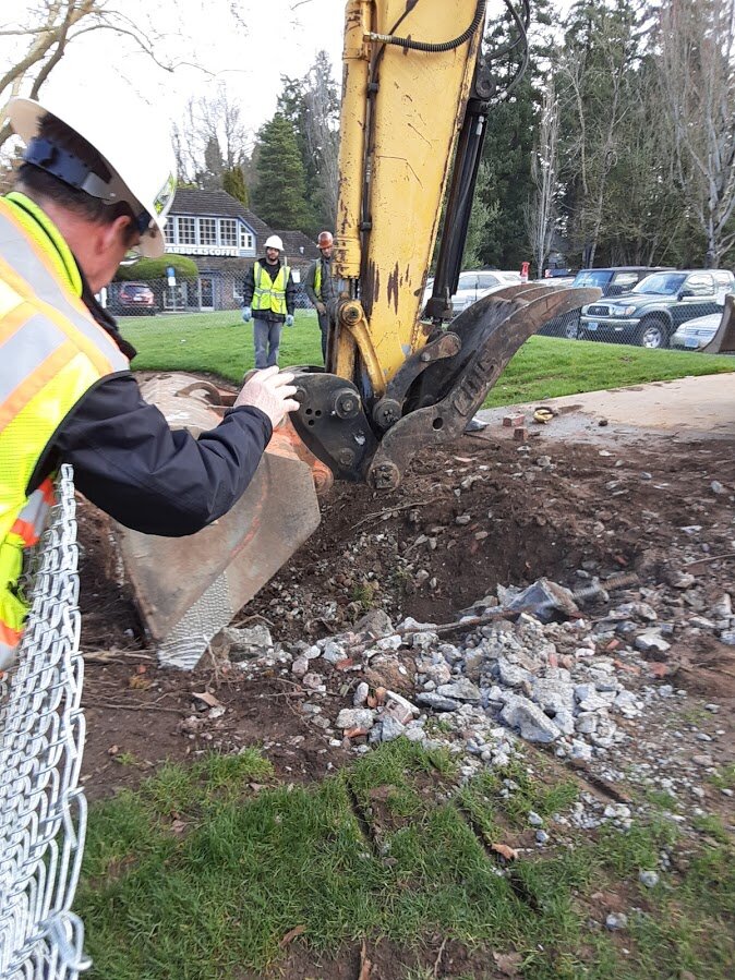 Terry Trees and construction.jpg