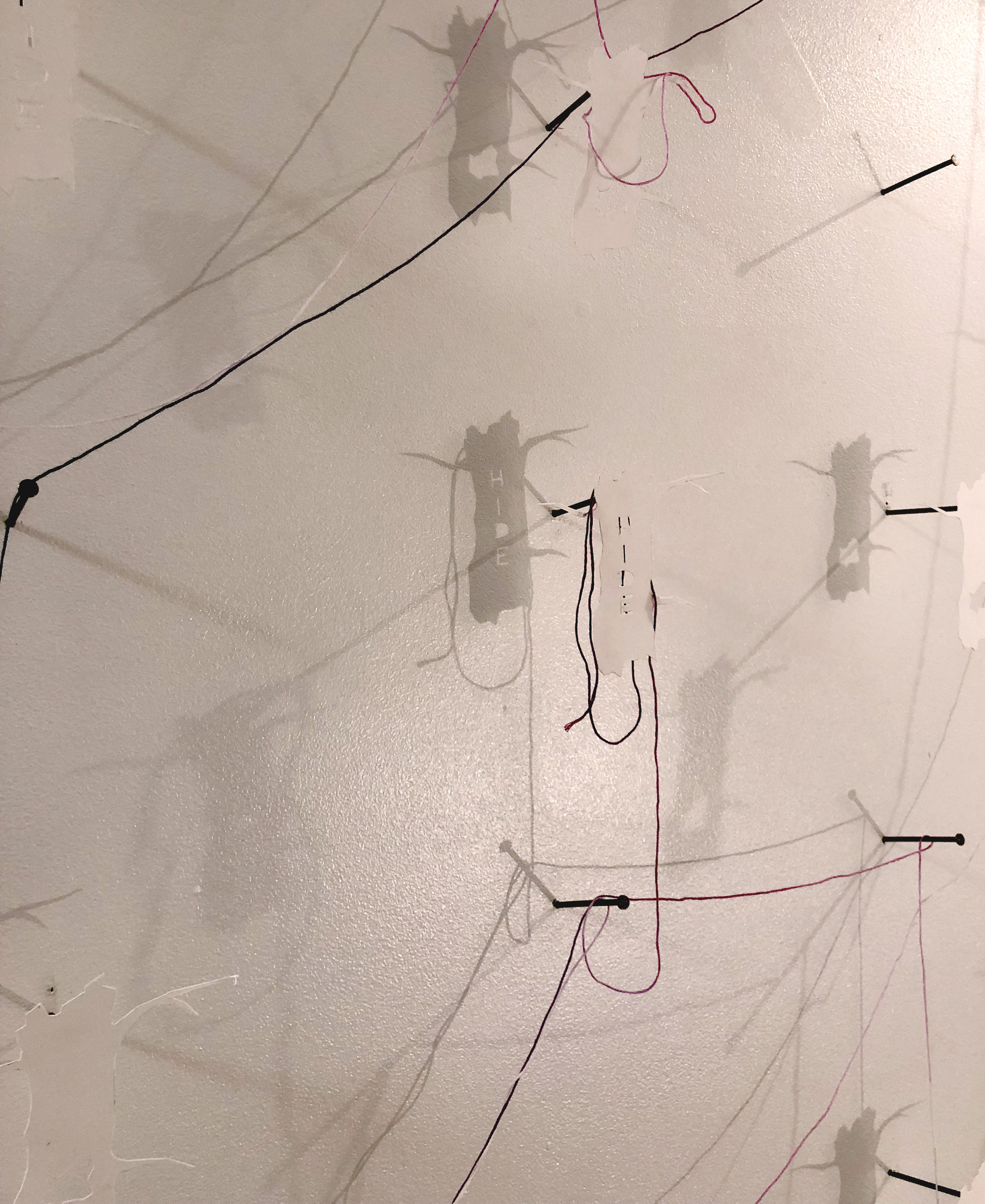  Student: Hanna Kesty Class: Sculpture I Project: “Form from Flat” Cut paper, string, steel, projected image.  2018 