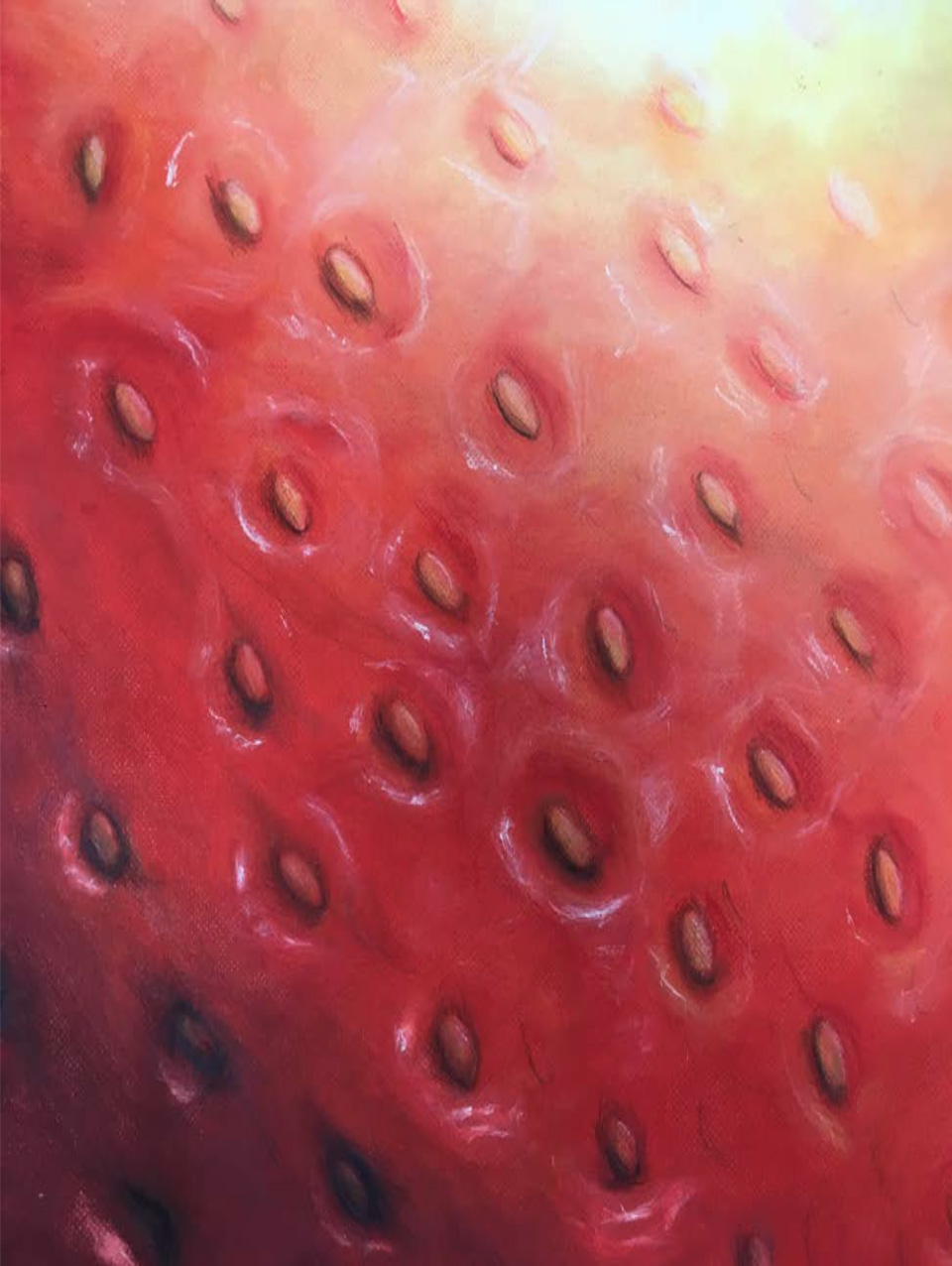  Student: Katie Roosa Project: “Fruit Study” (Drawing II) Soft Pastel 18”x24” 