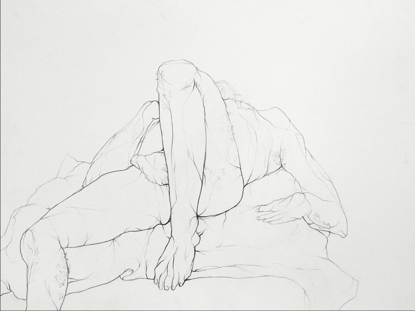  Student: Sarah Meyer Project: “Modulated Contour Line” (Drawing II) Graphite 18”x24” 