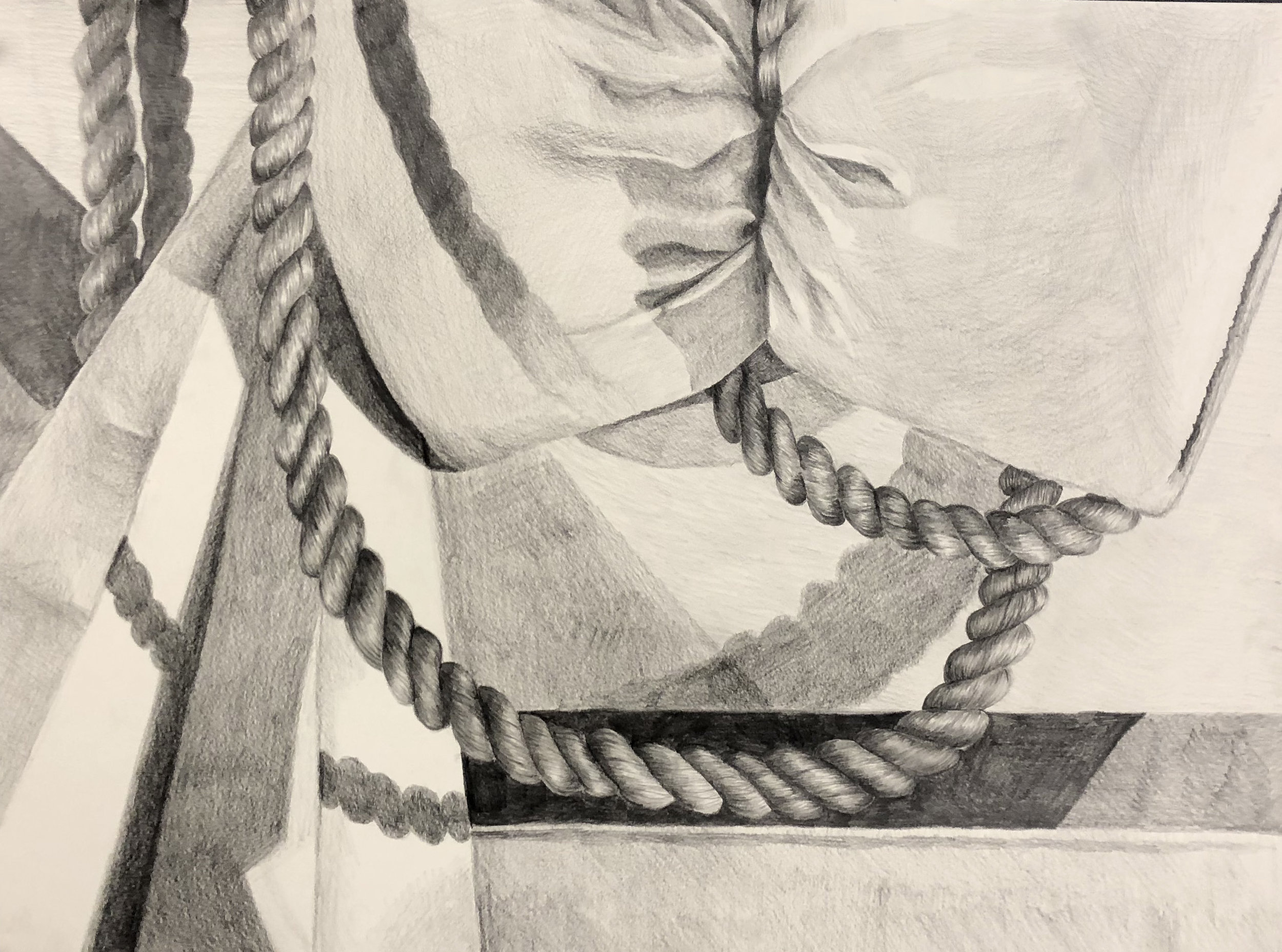  Student: Lauren Powderly Project: “White Still Life” (Drawing I) Graphite 18”x24” 