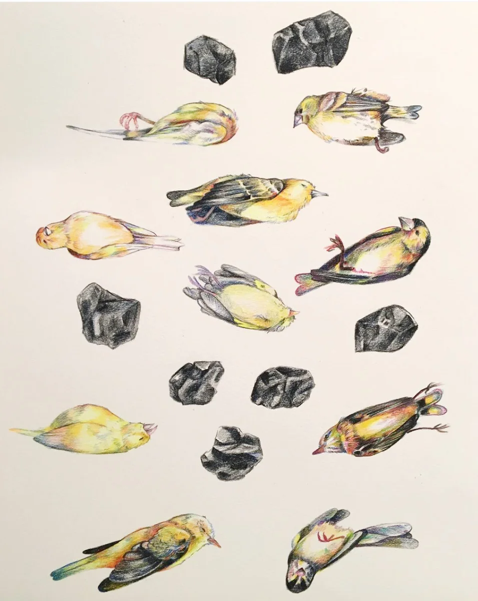 “Choking Hazard” Prismacolor 15”x20”