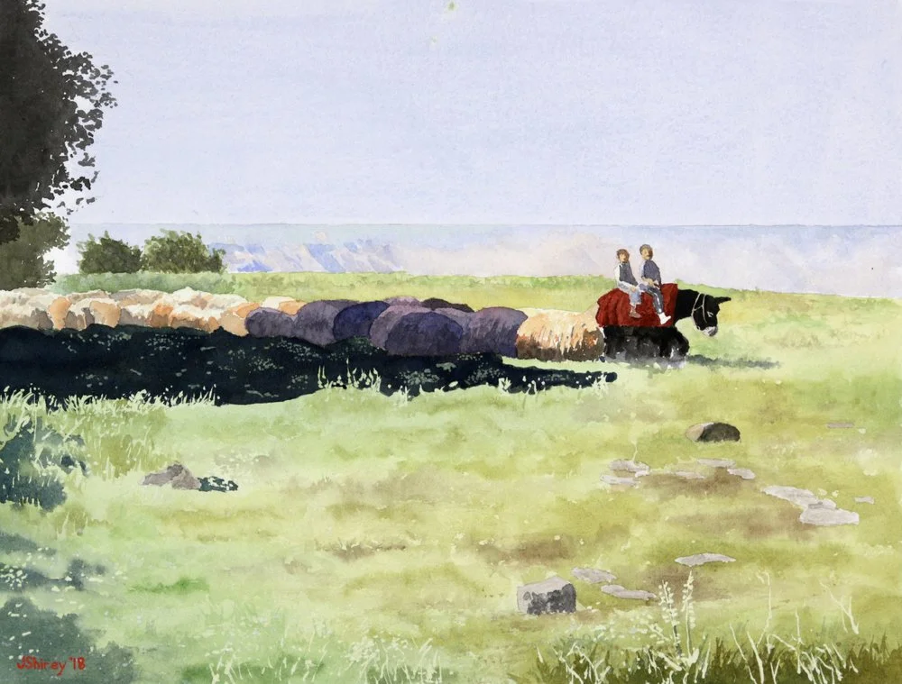 161C.jpg