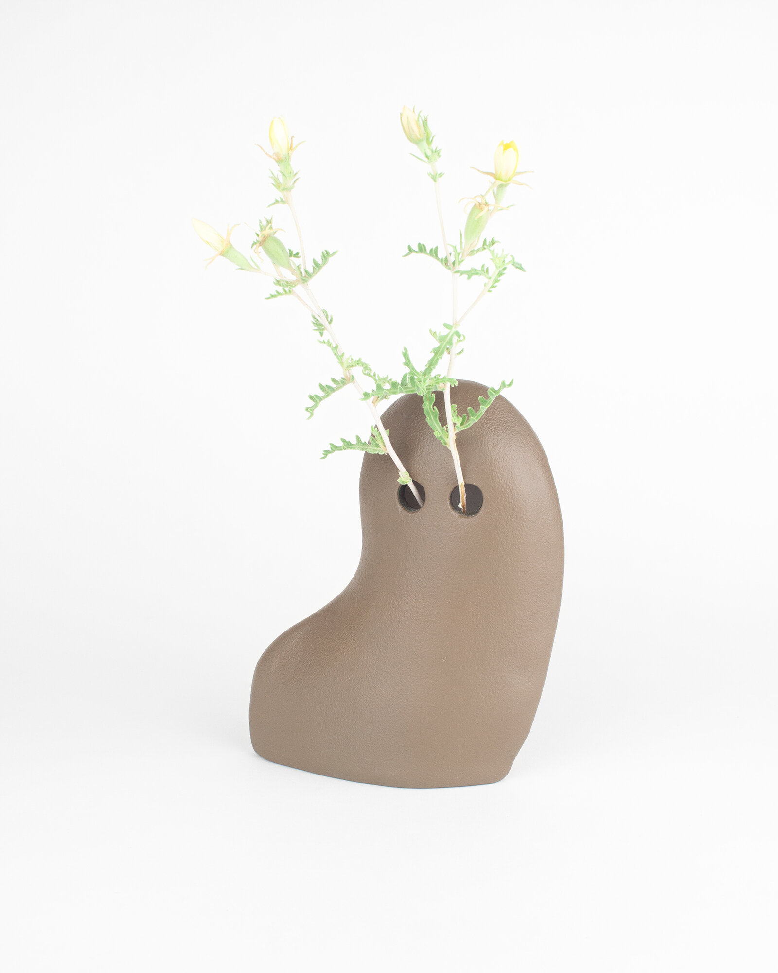 Bean in Gringolandia by Gabriel Garcia