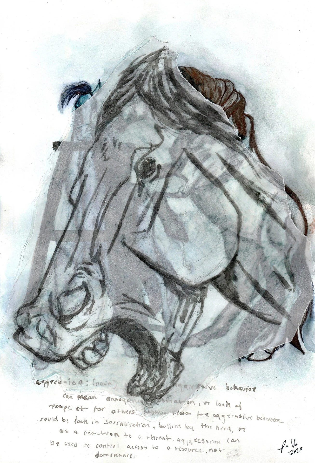 sanchez_The Horse [human] on Stall Rest [self isolation].jpeg