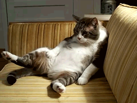 SITTING.gif