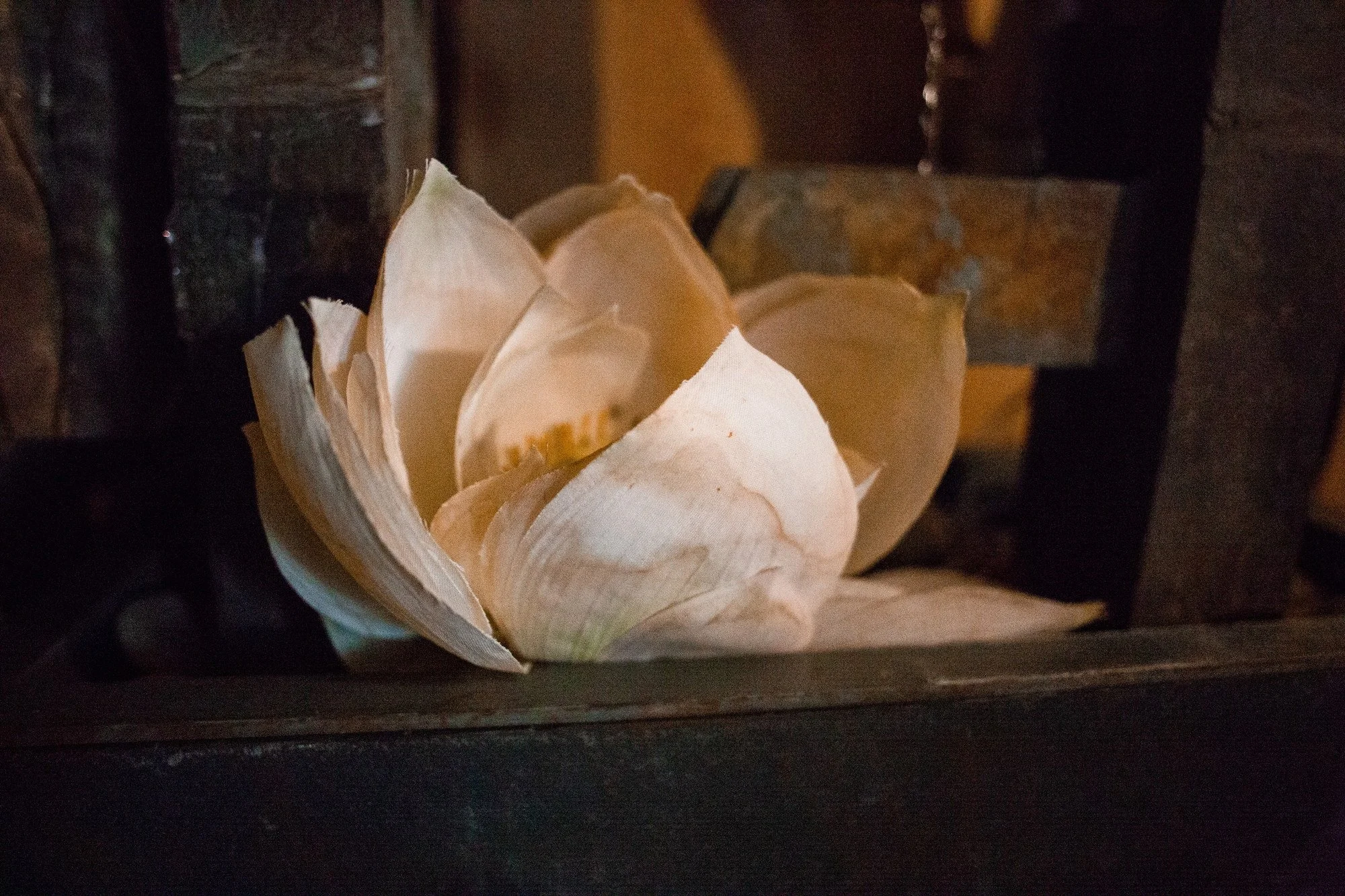 serenity-zen-carved-lotus-detail.jpg