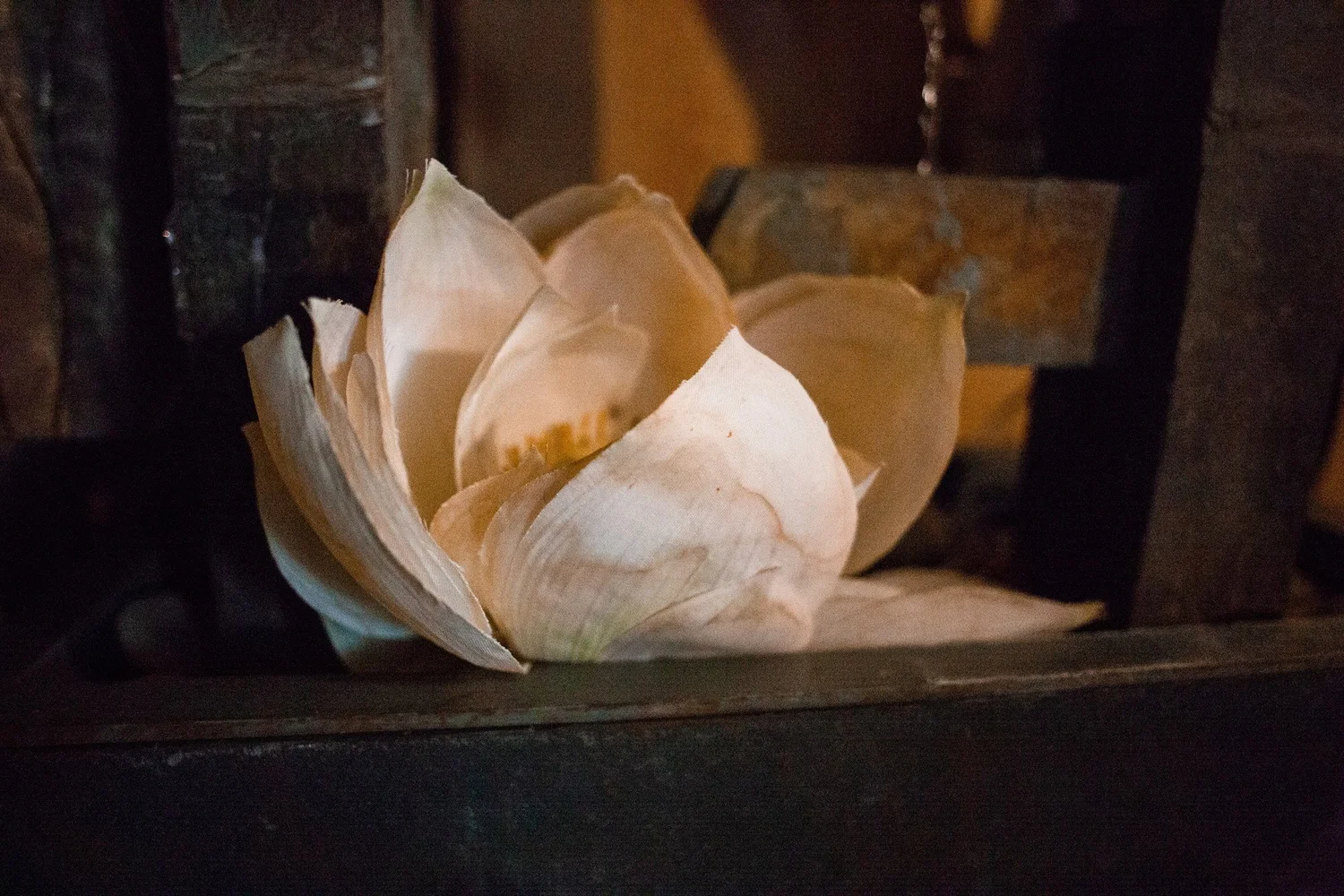 A carved white lotus on a dark wooden shelf at Serenity Zen