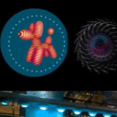 Picture or Video 729.gif