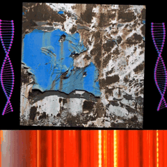 Picture or Video 630.gif