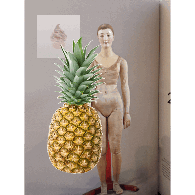 Picture or Video 589.gif