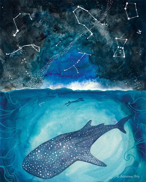 adriennevita_symbiotic_illus.jpg