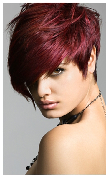 Short Hair — Short Hair —