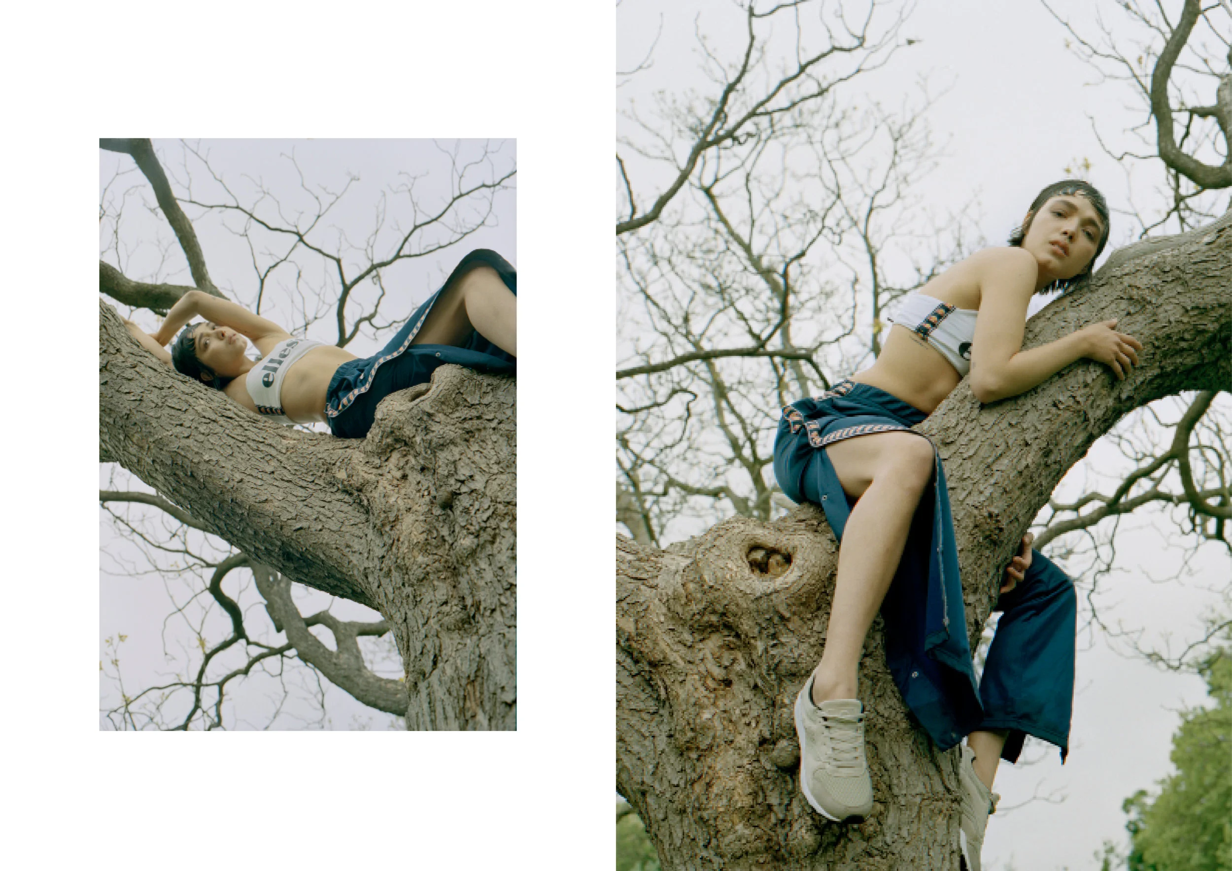 ellesse2.jpg