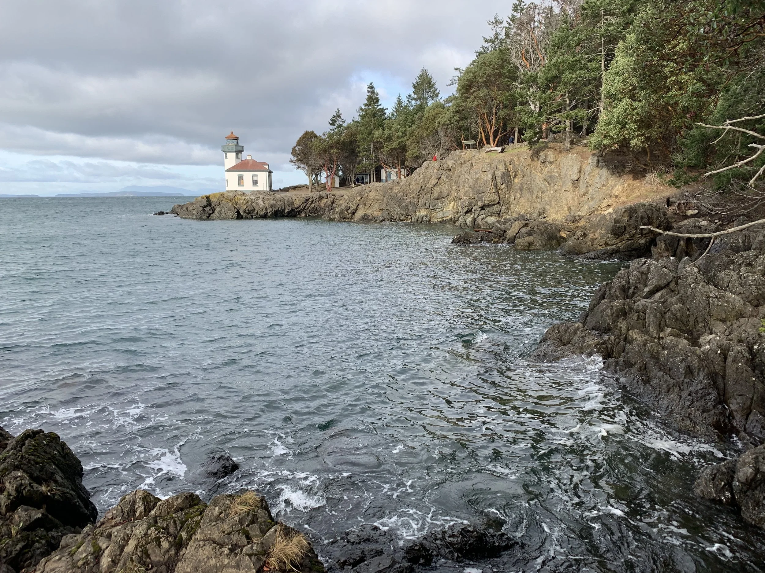 Who Should Not Try Cognitive Behavioral Therapy for Insomnia (CBTI)?