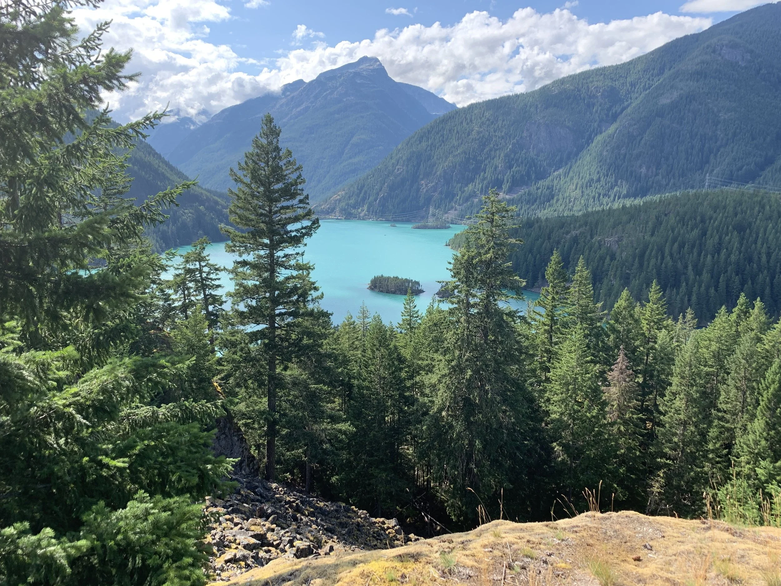 Insomnia and Sleep Apnea: Which to Treat First?