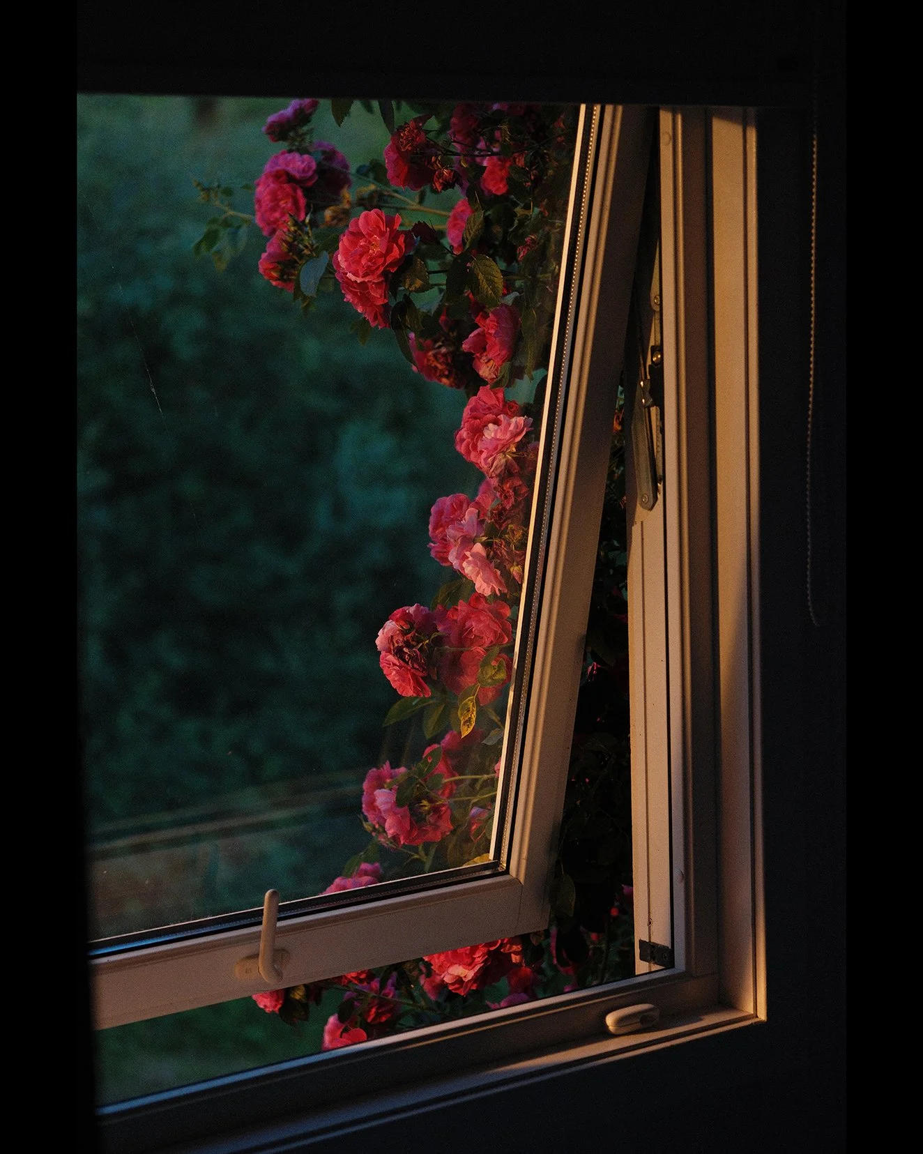 DSCF3182 4-5 1655.jpg