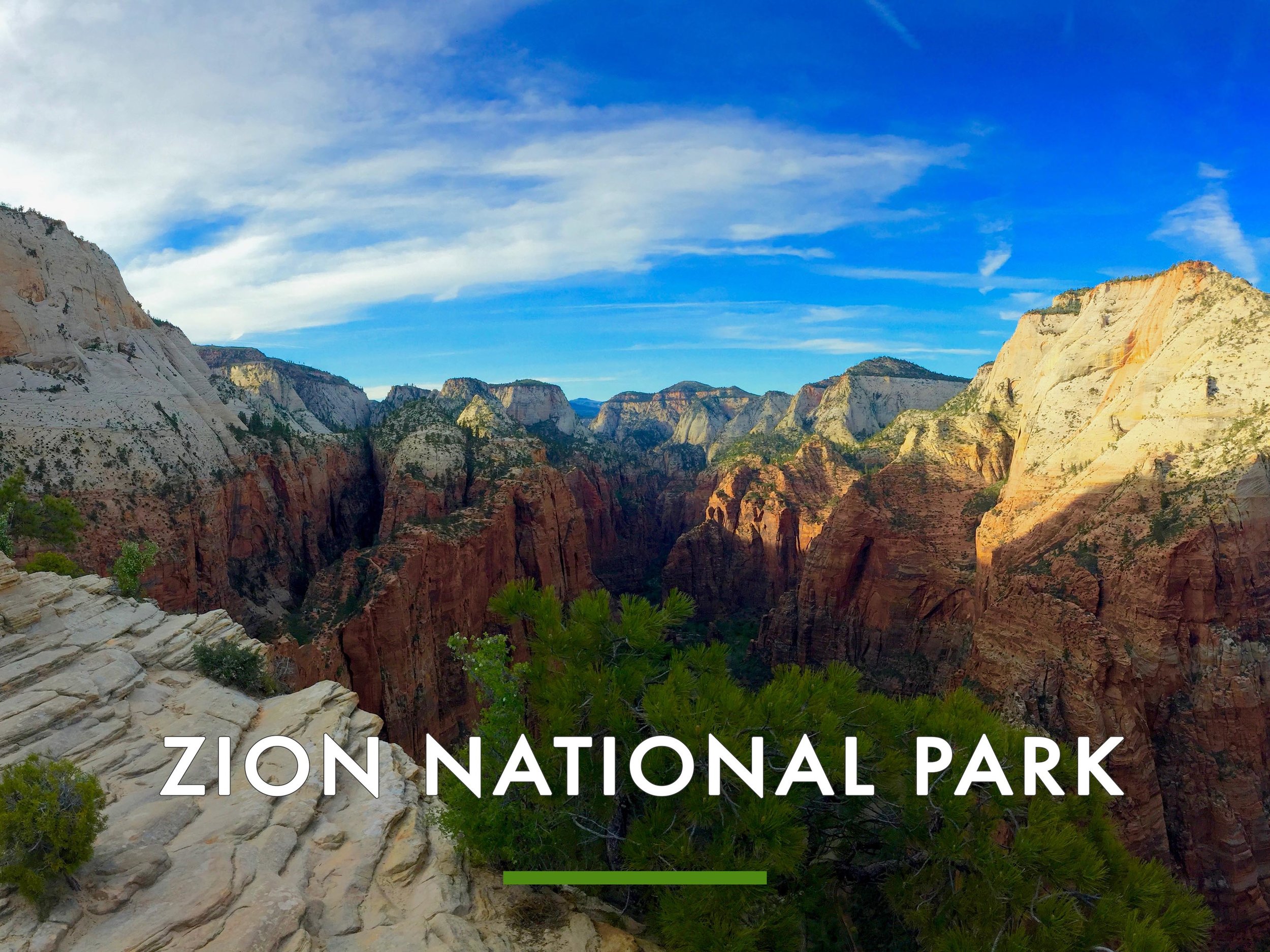 Zion National Park.jpg