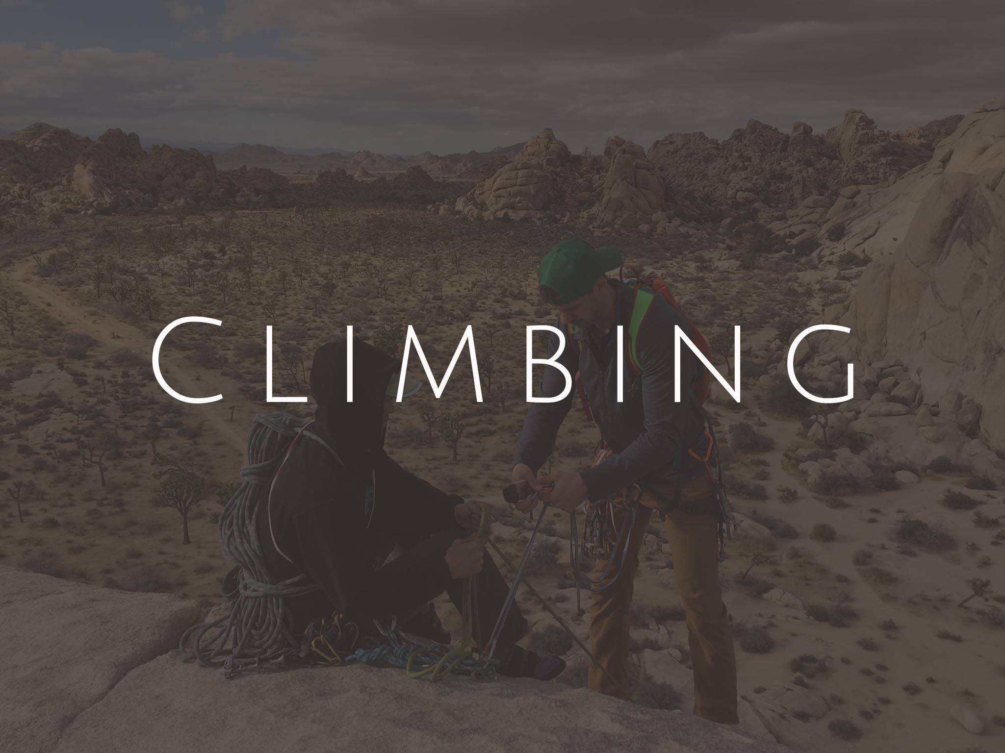 Climbing Jtree.jpg