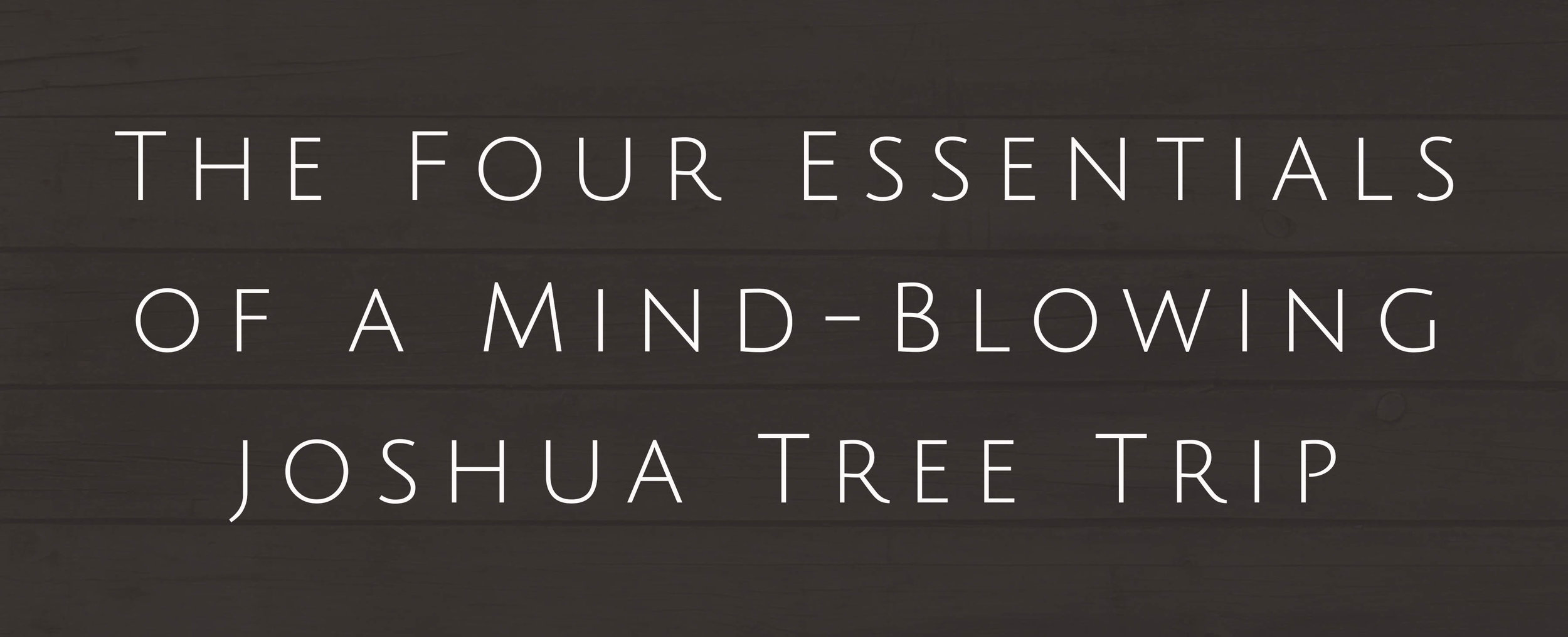 Joshua Tree - Four Essentials.jpg