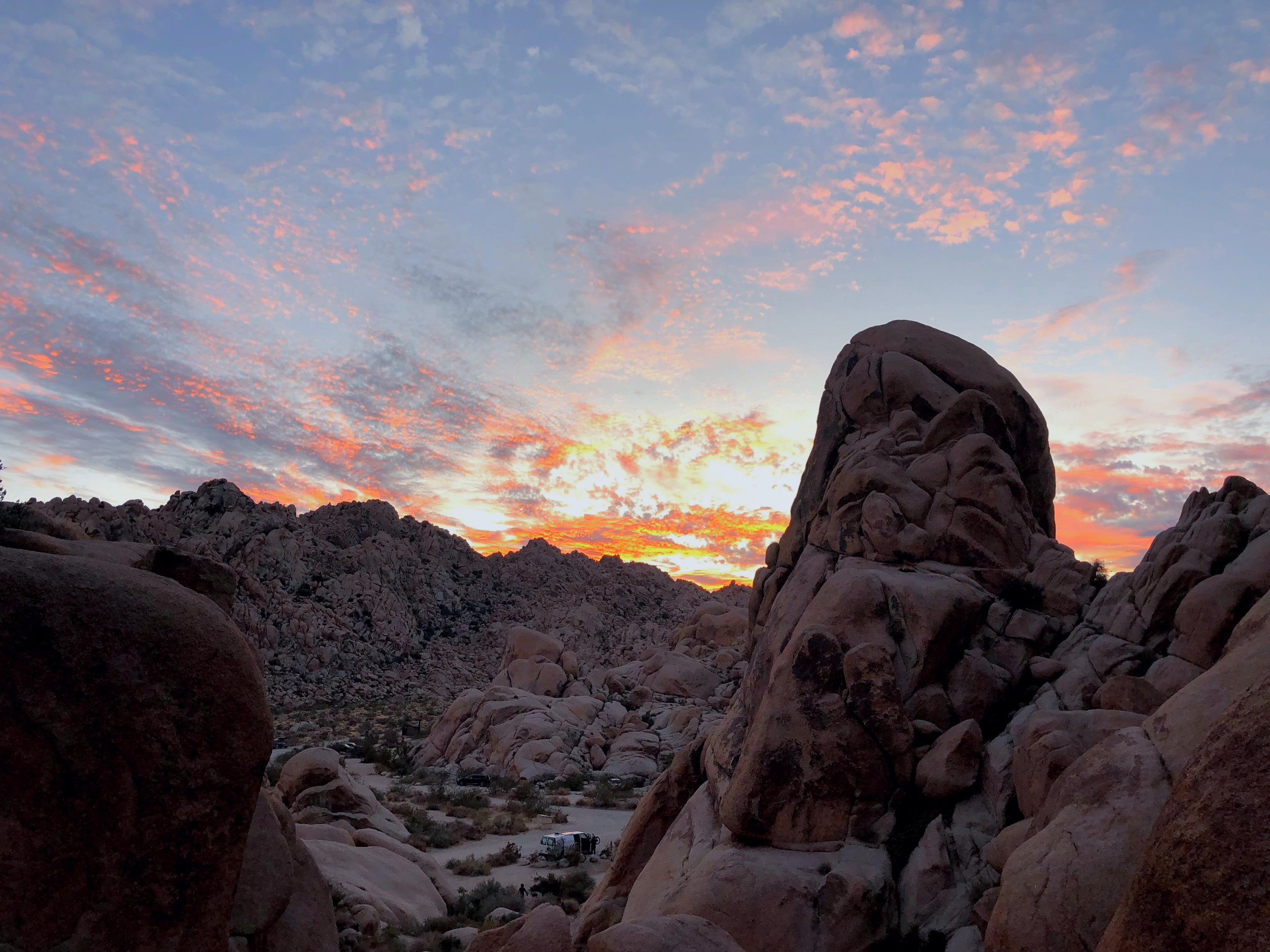 Your Ultimate 2021 Guide to Camping in Joshua Tree