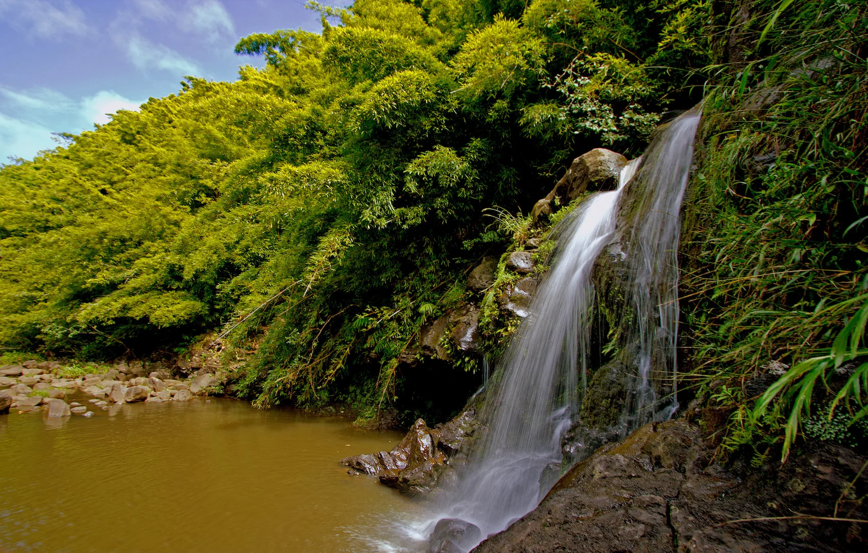 Bamboo-waterfall-hike-epic-experience-maui.jpg