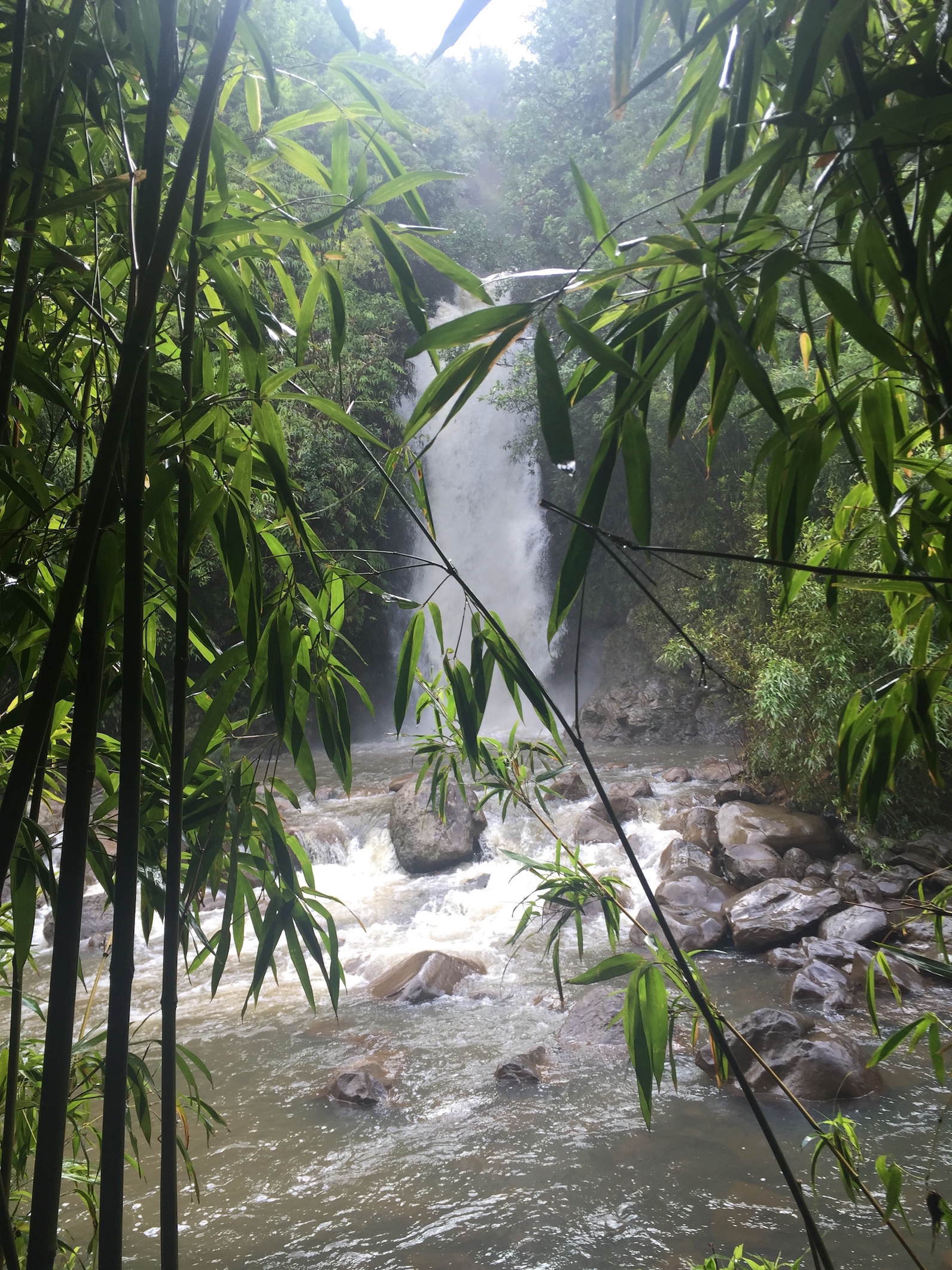 waterfall-hana-epic-experience-maui-tours
