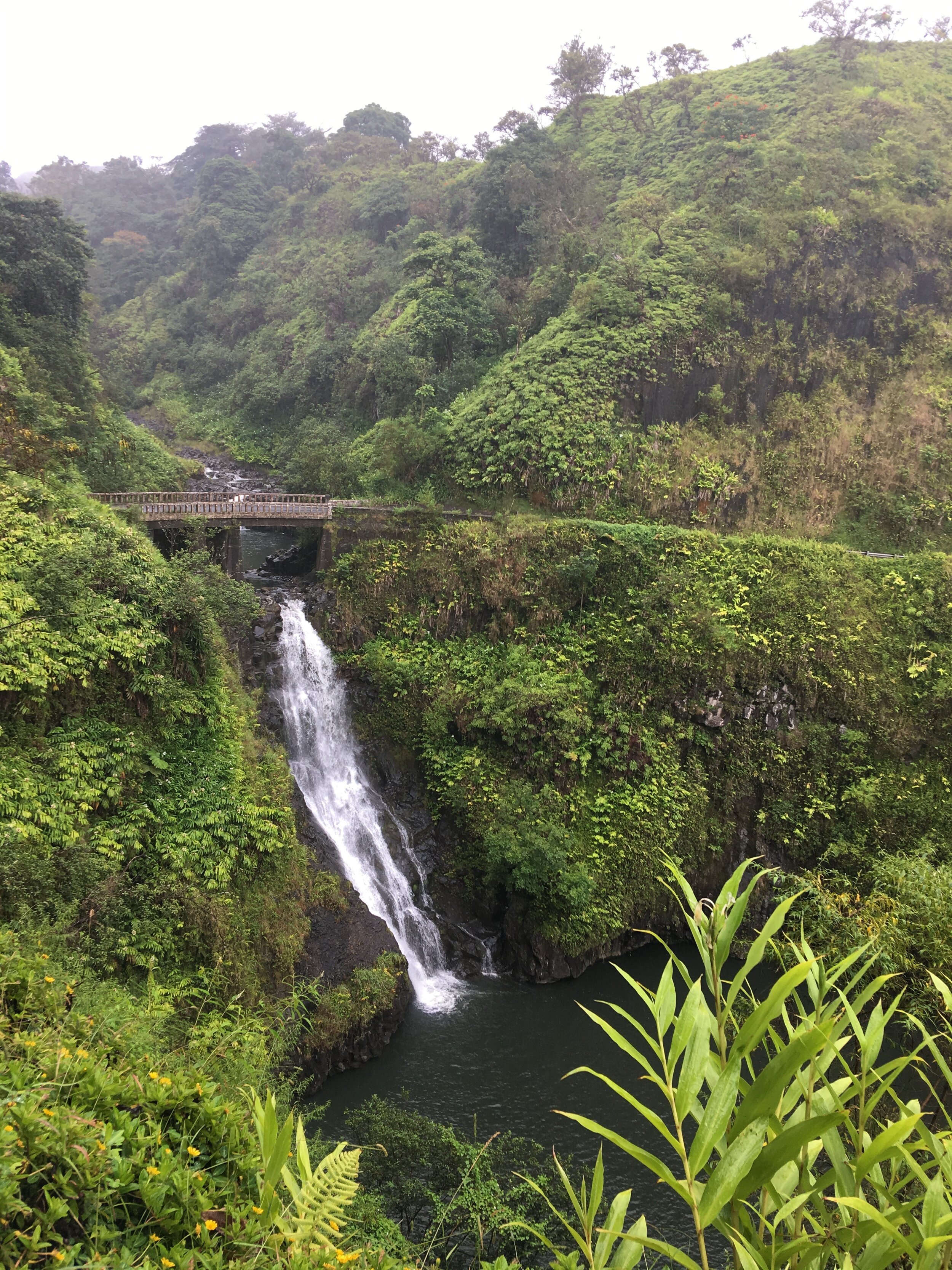 Epic_Experience_Maui_Hana_Private_Tour_Waterfall_8.jpg