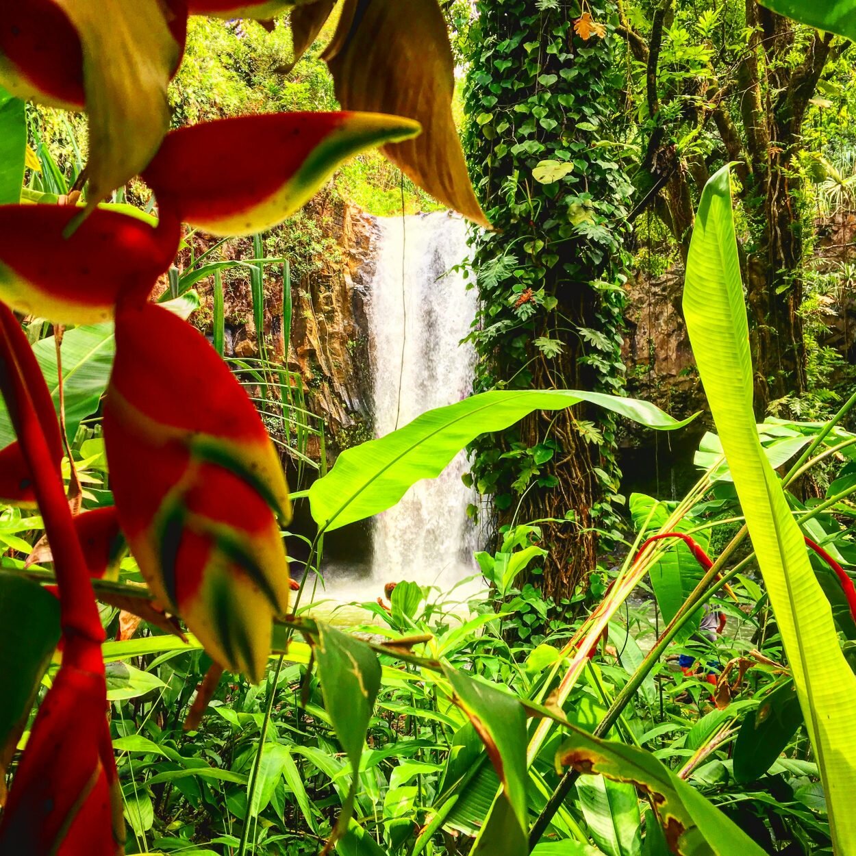 Epic_Experience_Maui_Private_Tour_Hana_Waterfall_6.jpeg
