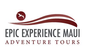 Private Maui Hiking & Adventure Tours | Epic Experience Maui