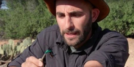 Painful! Dude Gets Stung By Tarantula Hawk On Purpose