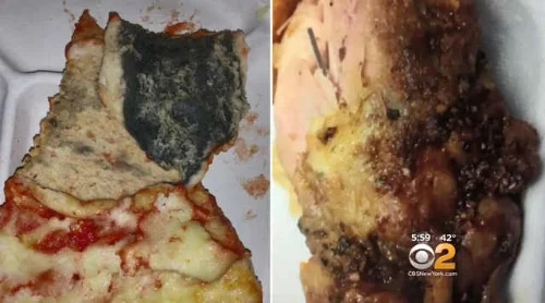 NY Schools Serving Moldy Pizza And Chicken With Metal Pieces