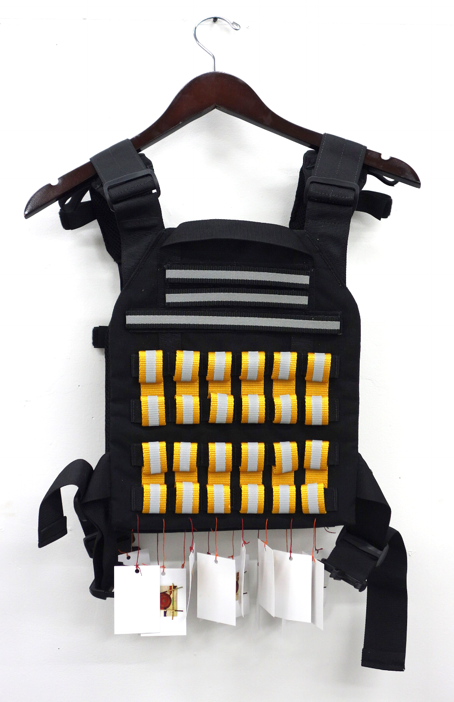 Vest img2.png
