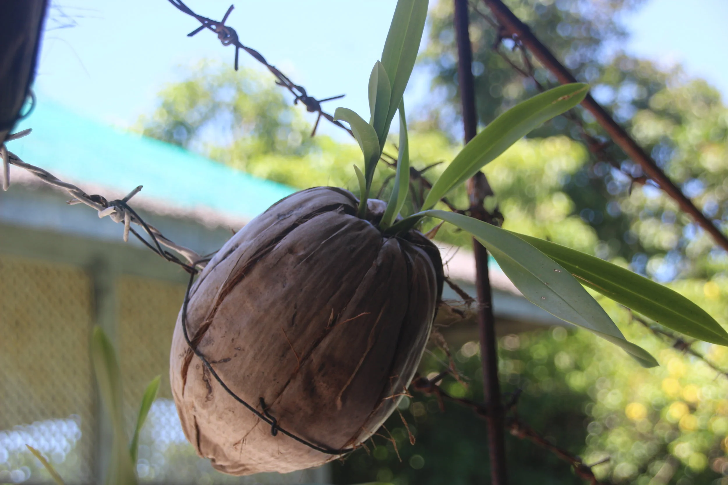 LOGBOOK: Observations and Reflections