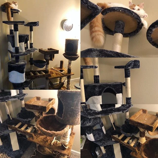 What you think my cats aren't getting modular?! 🤯🏠🐈 #modularhome #cat #modularsynth #cattree #innovation #unprecedented #unparalleled #impeccablesportsmanship #ok