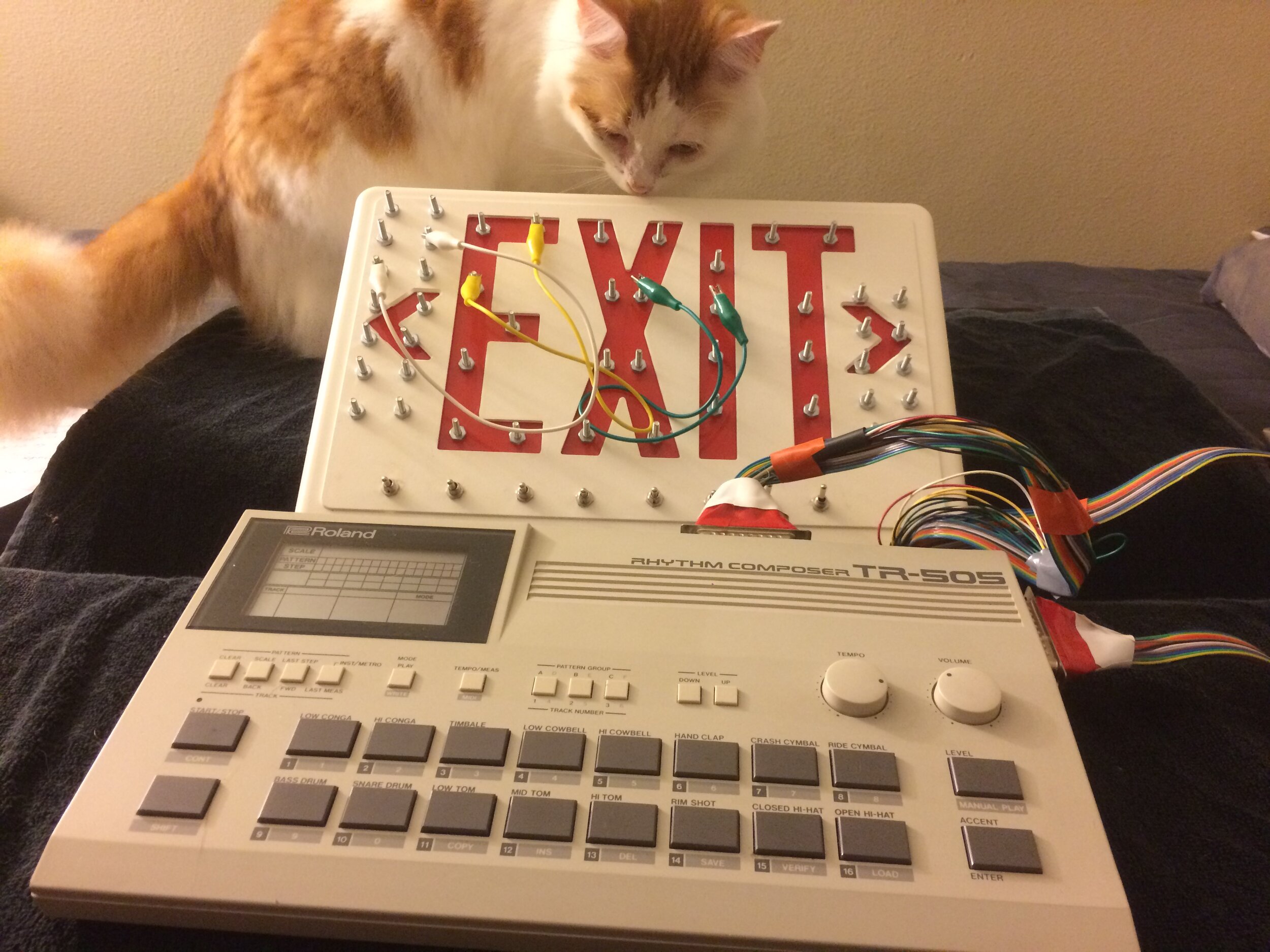 circuit-bent-instruments-ok-housecat