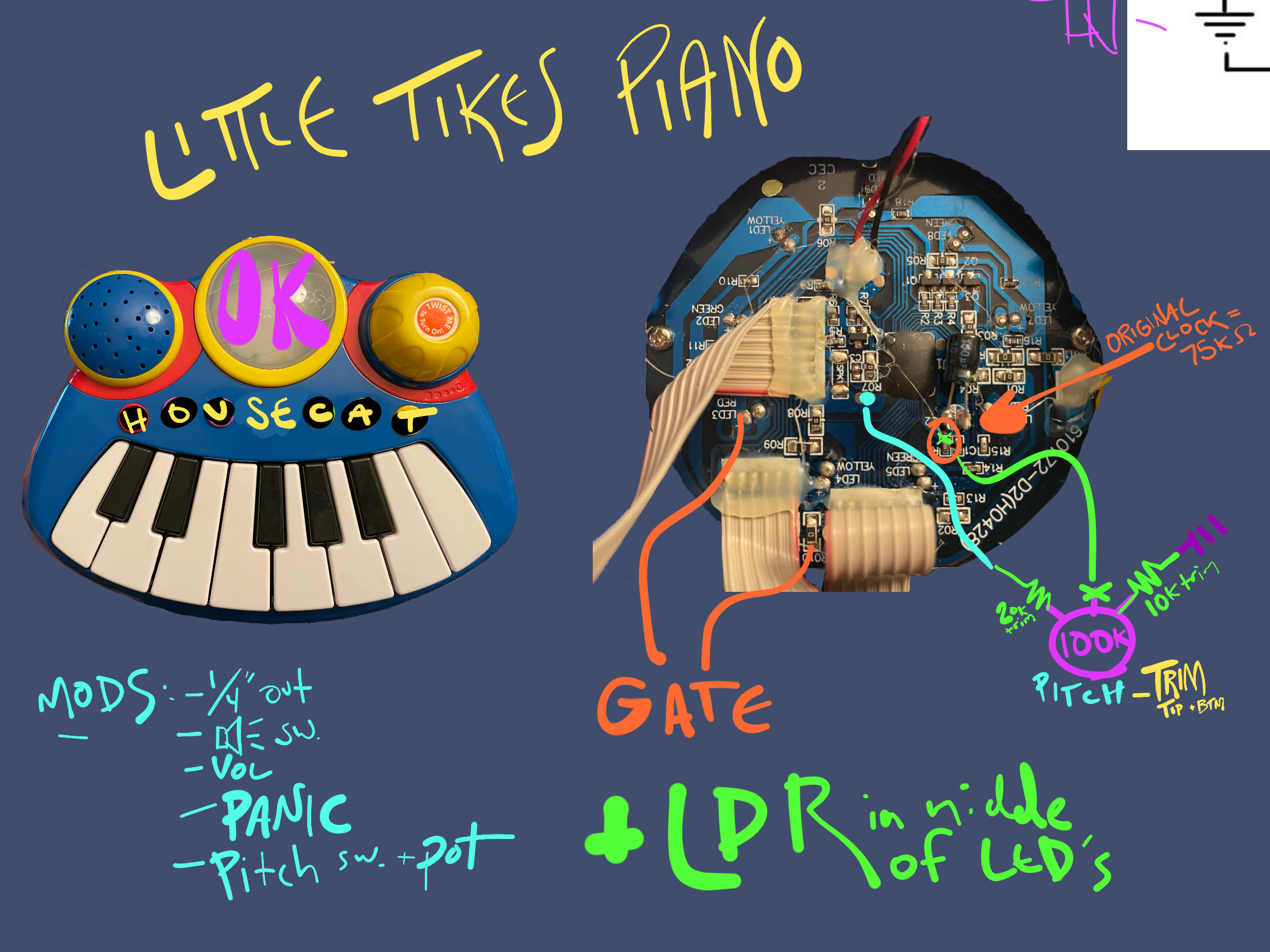 IMG_1217.png