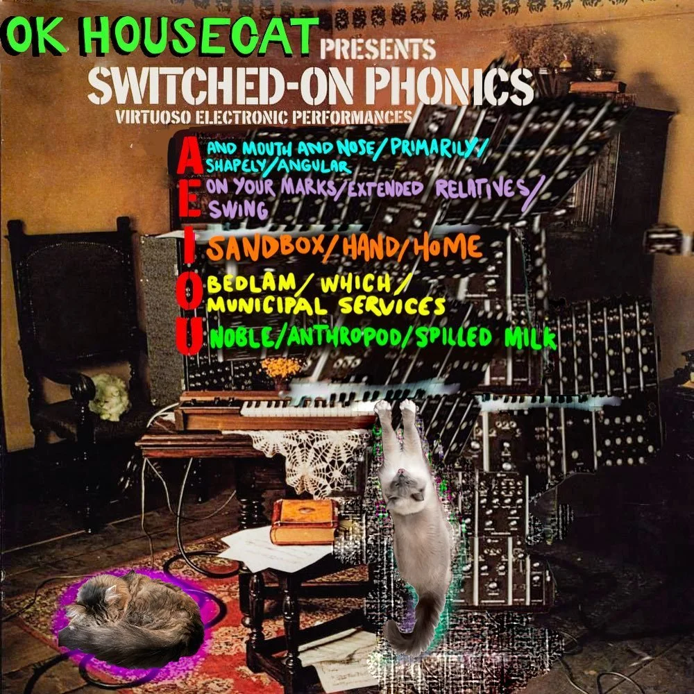 Switched-On Phonics