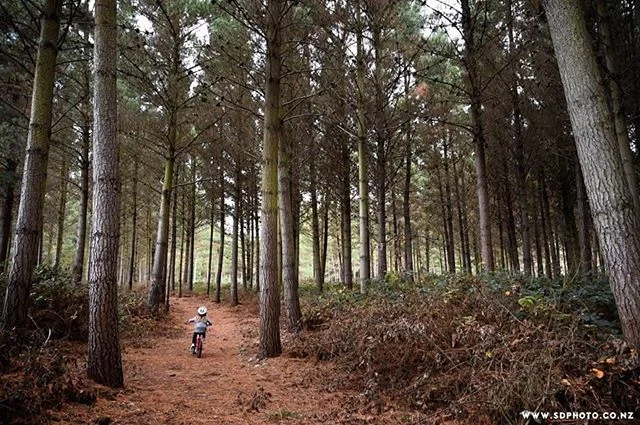 This picture sums up all that is good about the amazing tracks in the District. 
#glenavytrack #magical #familyfriendly #makingmemories