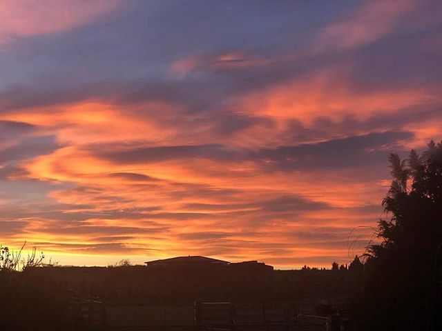 We're treated to the most amazing sunrises and sunsets at this time of year. 📸❤️ : @revelationnzalpacastud