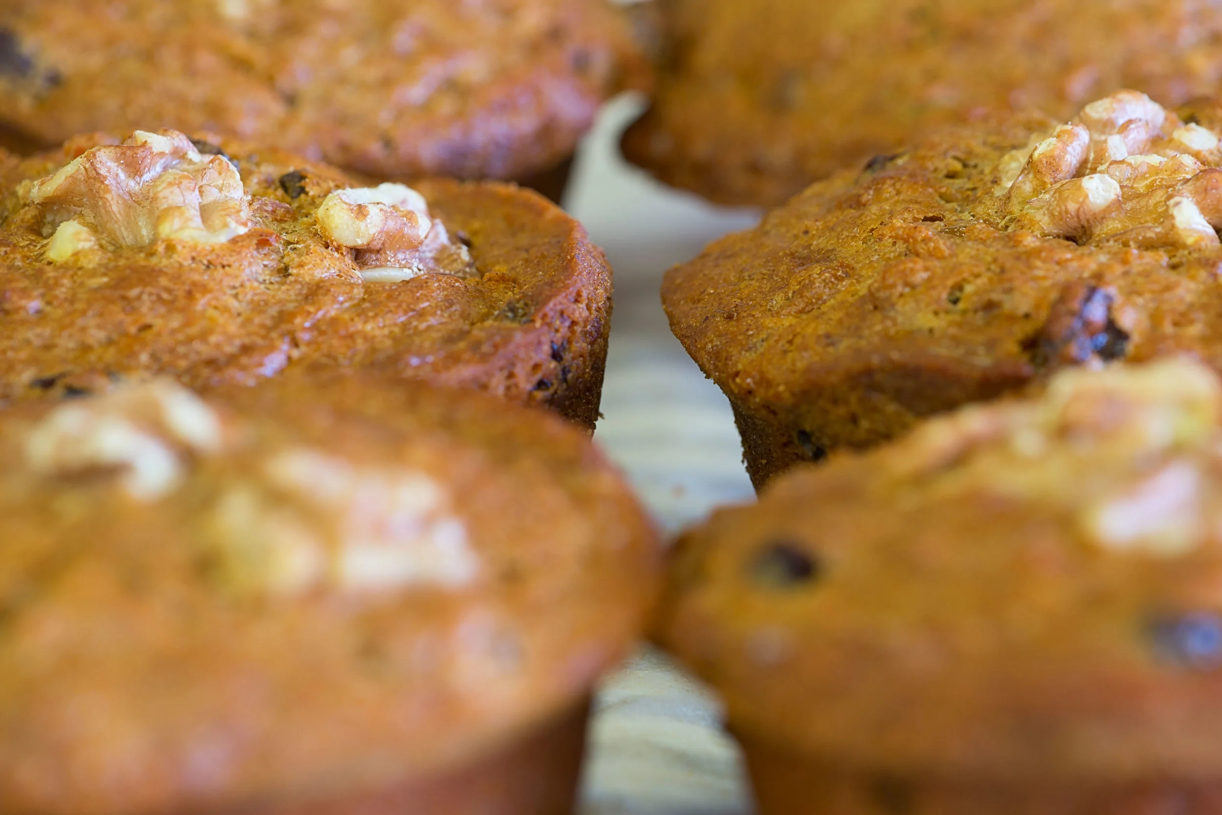 Bakery_Bran Muffin close up.jpg