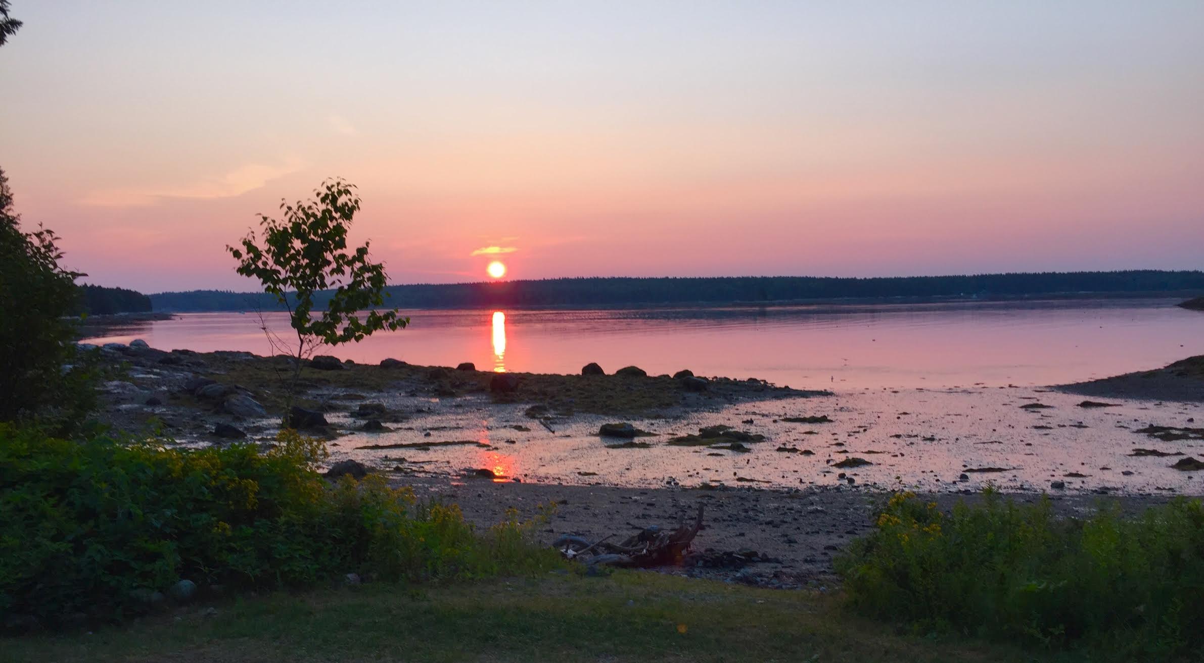 Hog Island Sunrise