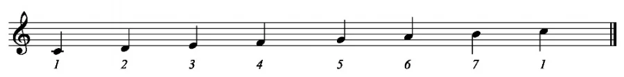 Above is the major scale in the key of C. Each note is assigned a number or scale degree, thus there are 7 different notes in this scale.