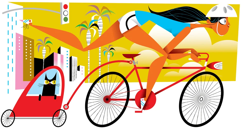 Cyclavia illo copy.jpg