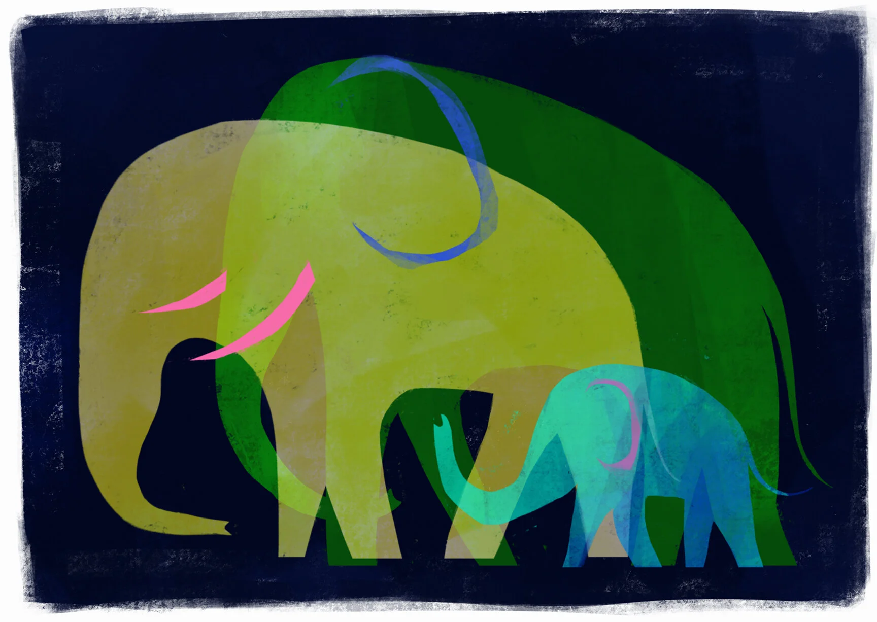 Elephant Family.jpg