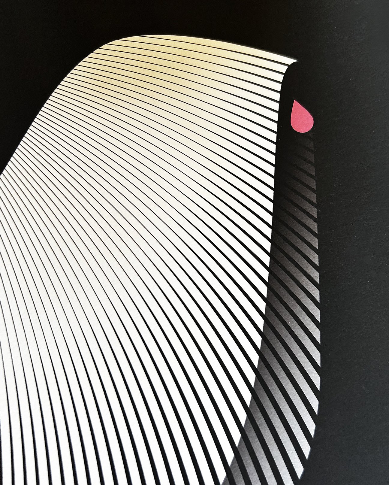Detail of Puli (Best in Show) art print by Kirsten Ulve showing flowing white line pattern forming the puli dog coat.