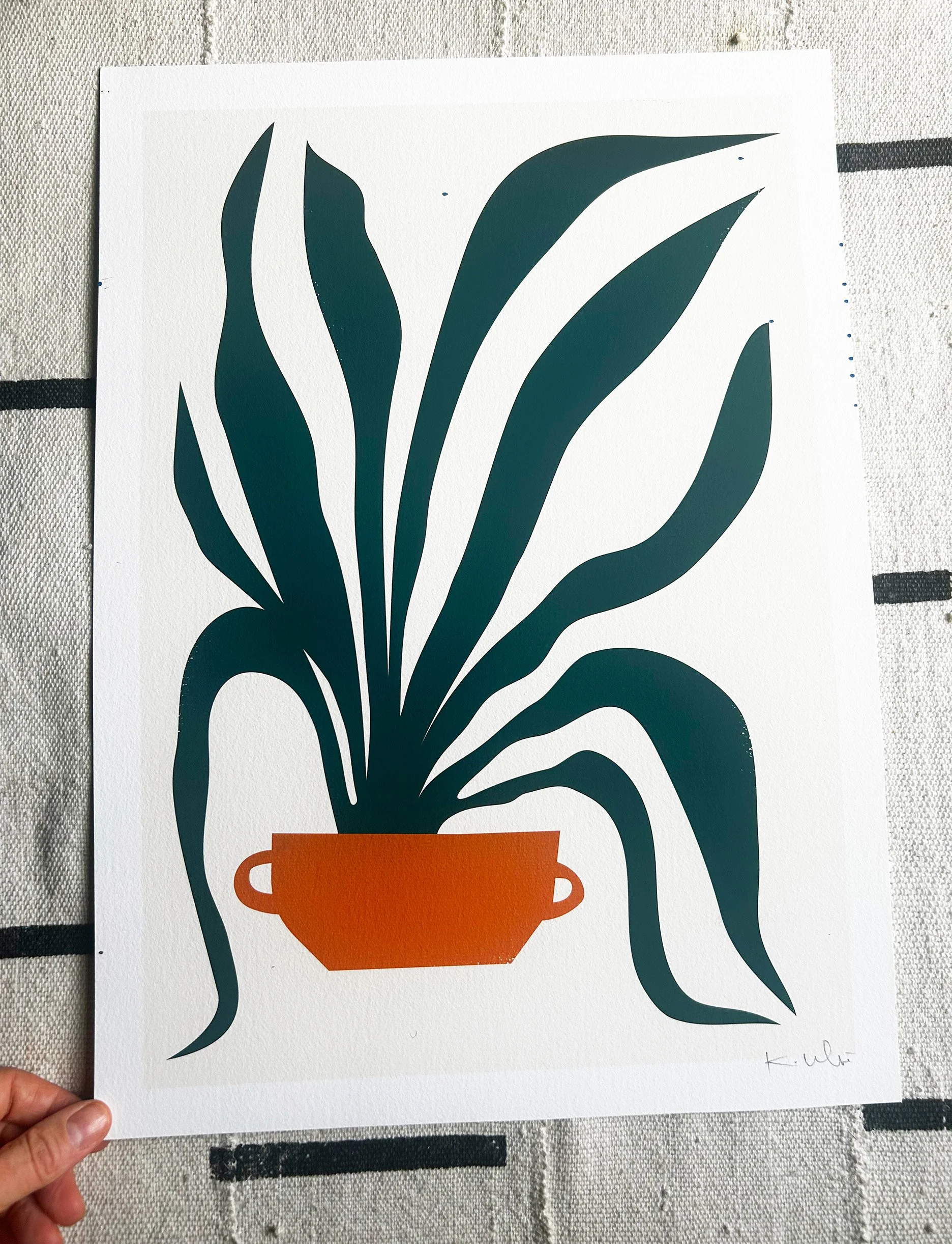 Snake Plant IRL.jpg