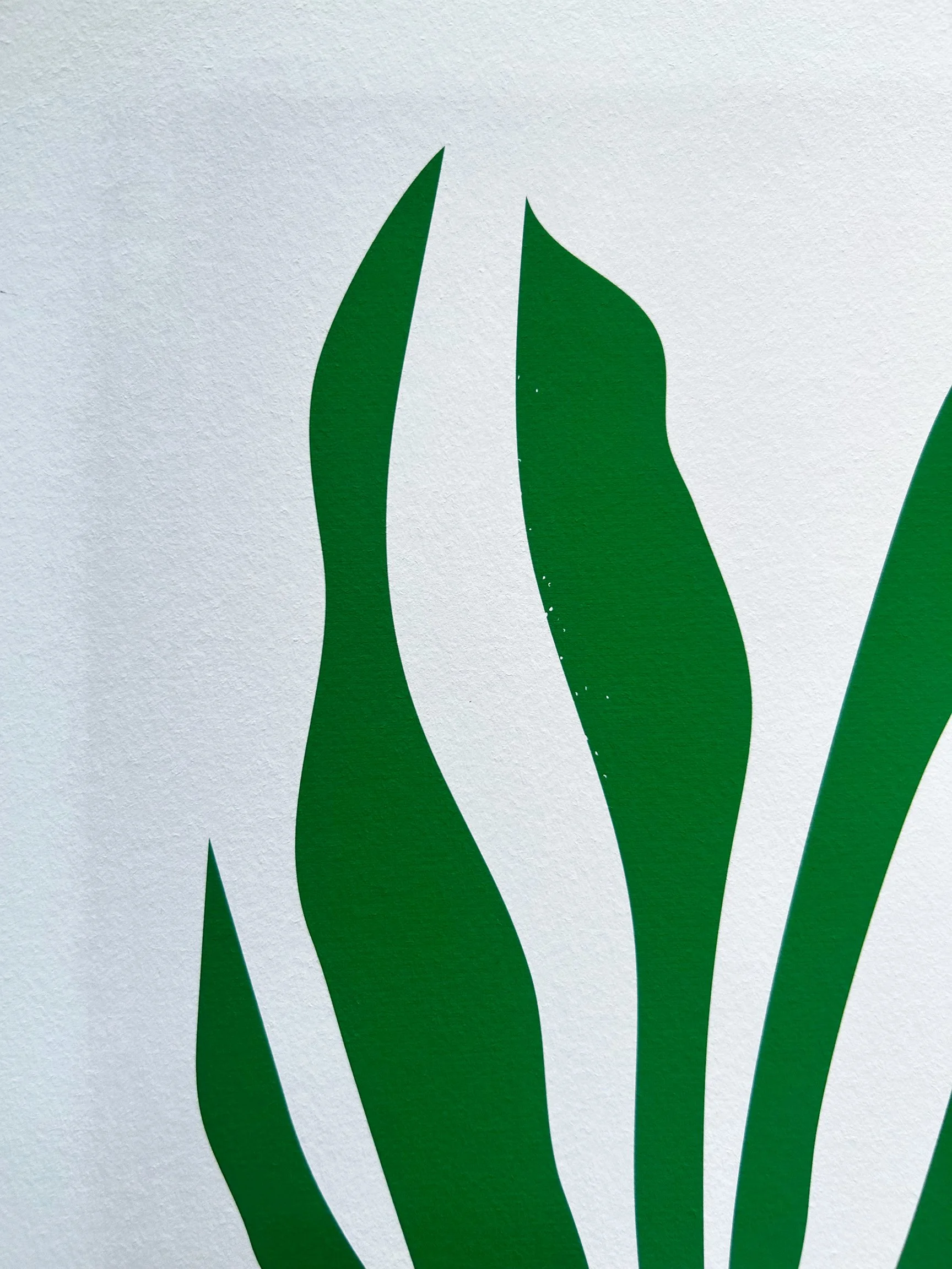 Snake_Plant_Print_detail.jpg