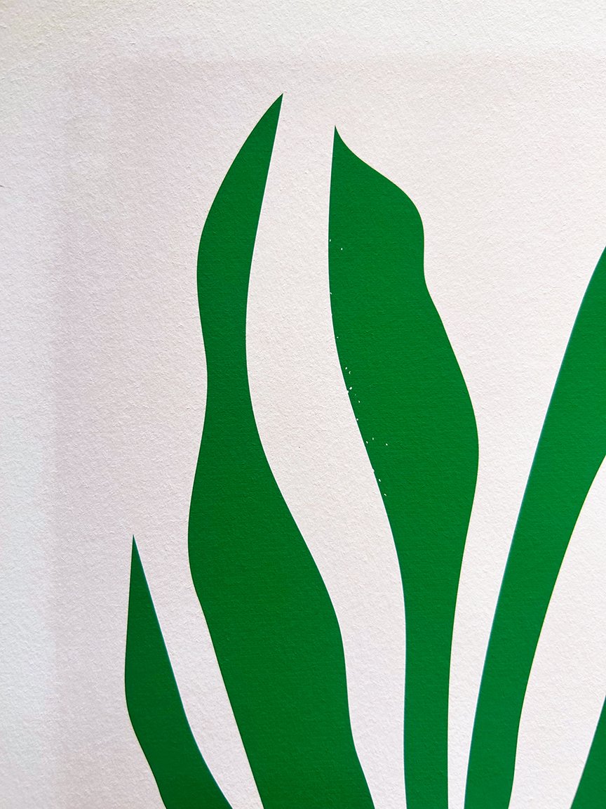 Snake_Plant_Print_detail p.jpg